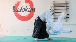 Karate Shido